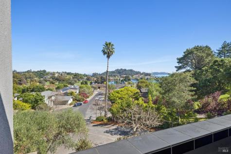 30 Chateau Place San Rafael CA 94901