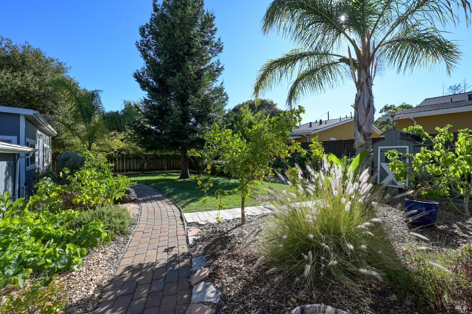 679 Cherry Street Novato CA 94945