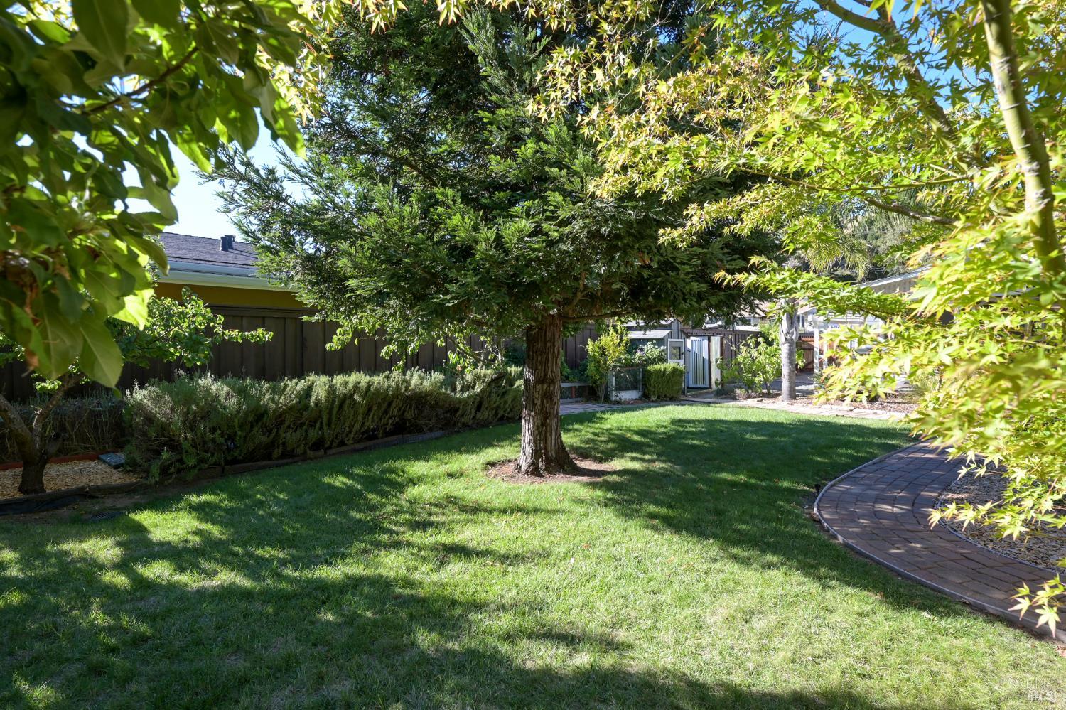 679 Cherry Street Novato CA 94945