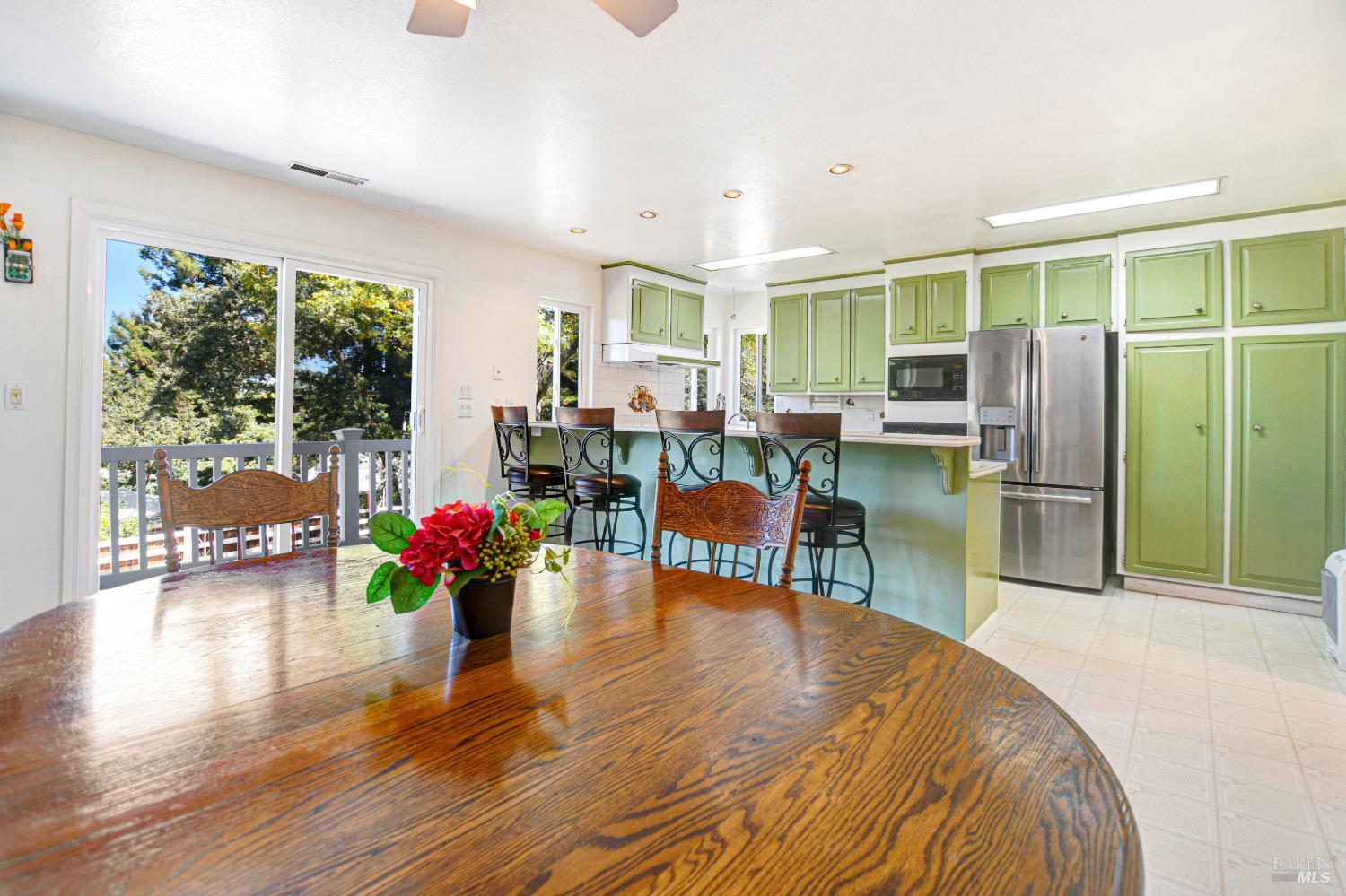 530 Bloomfield Road Sebastopol CA 95472