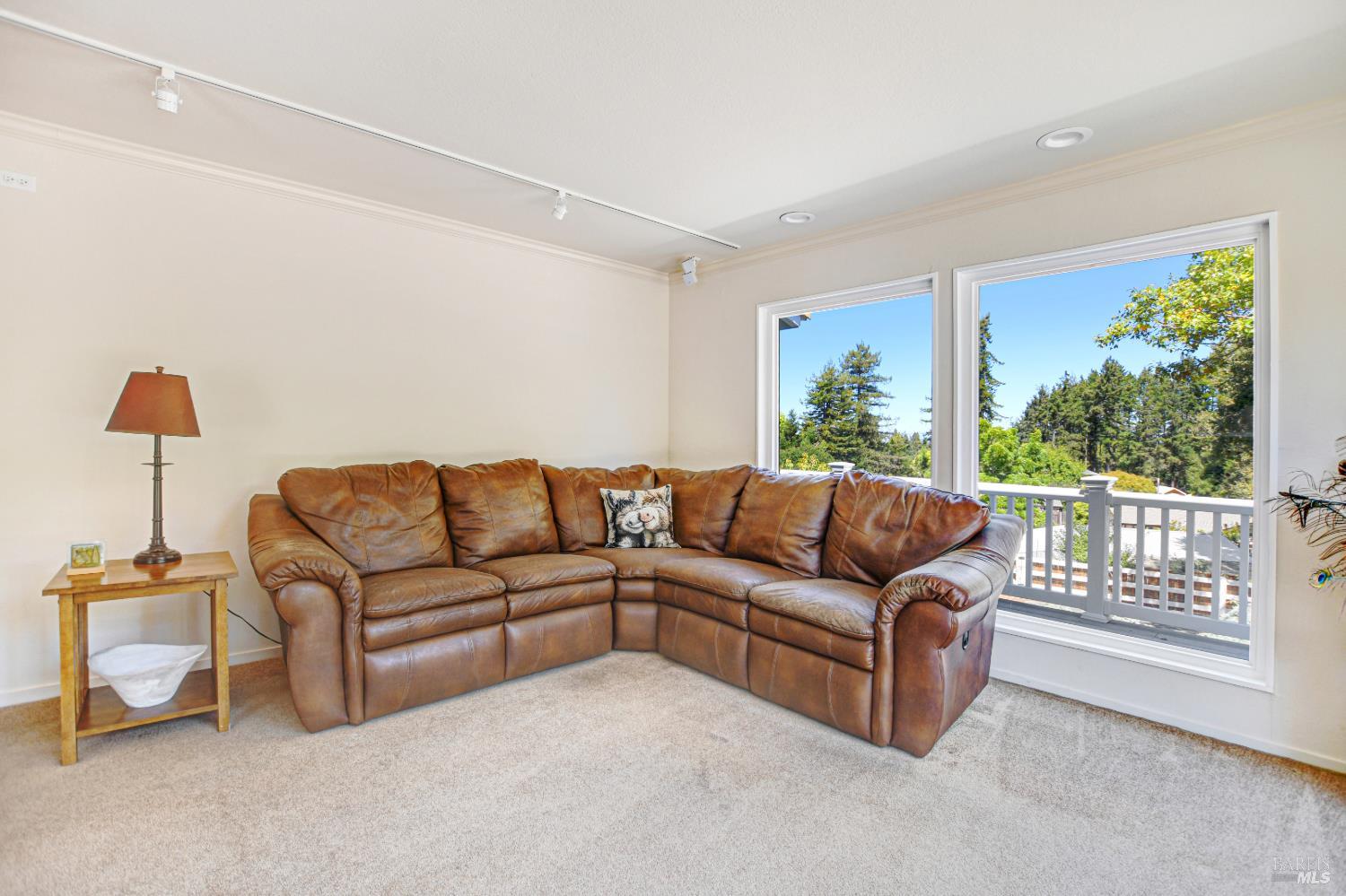 530 Bloomfield Road Sebastopol CA 95472