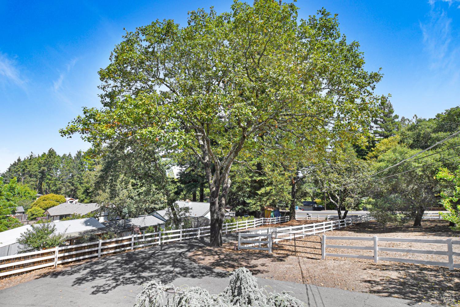 530 Bloomfield Road Sebastopol CA 95472