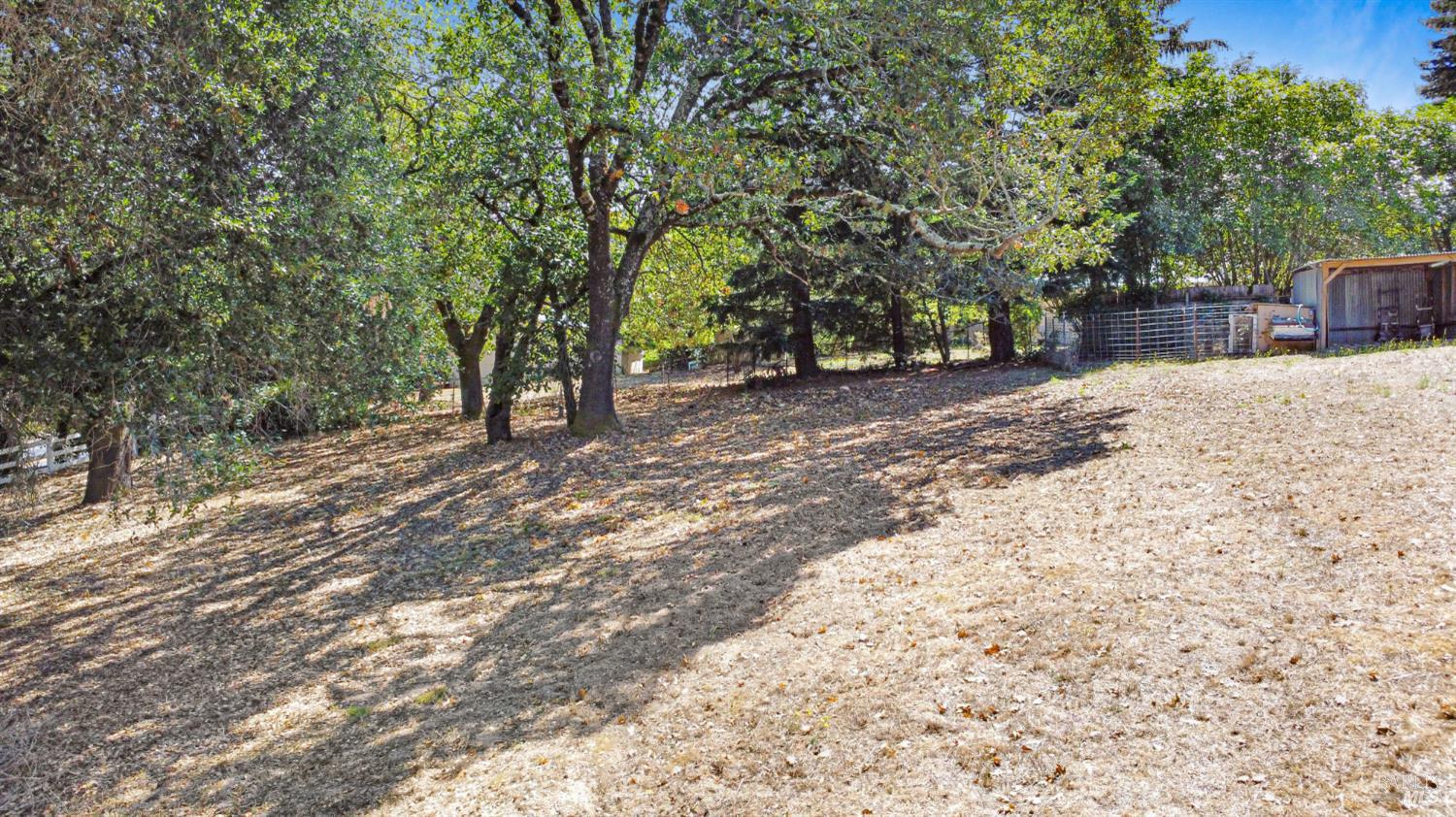 530 Bloomfield Road Sebastopol CA 95472