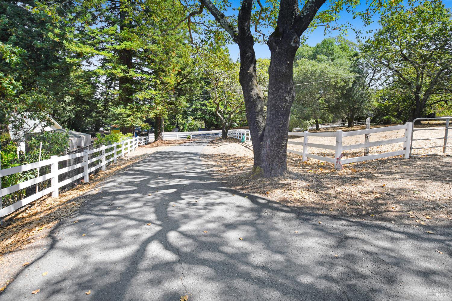 530 Bloomfield Road Sebastopol CA 95472