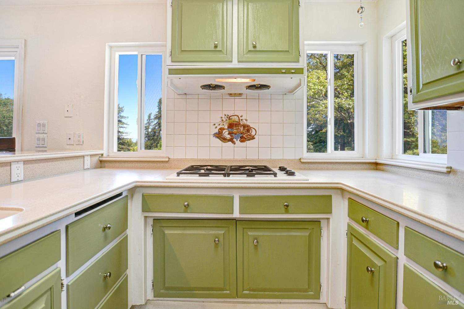 530 Bloomfield Road Sebastopol CA 95472