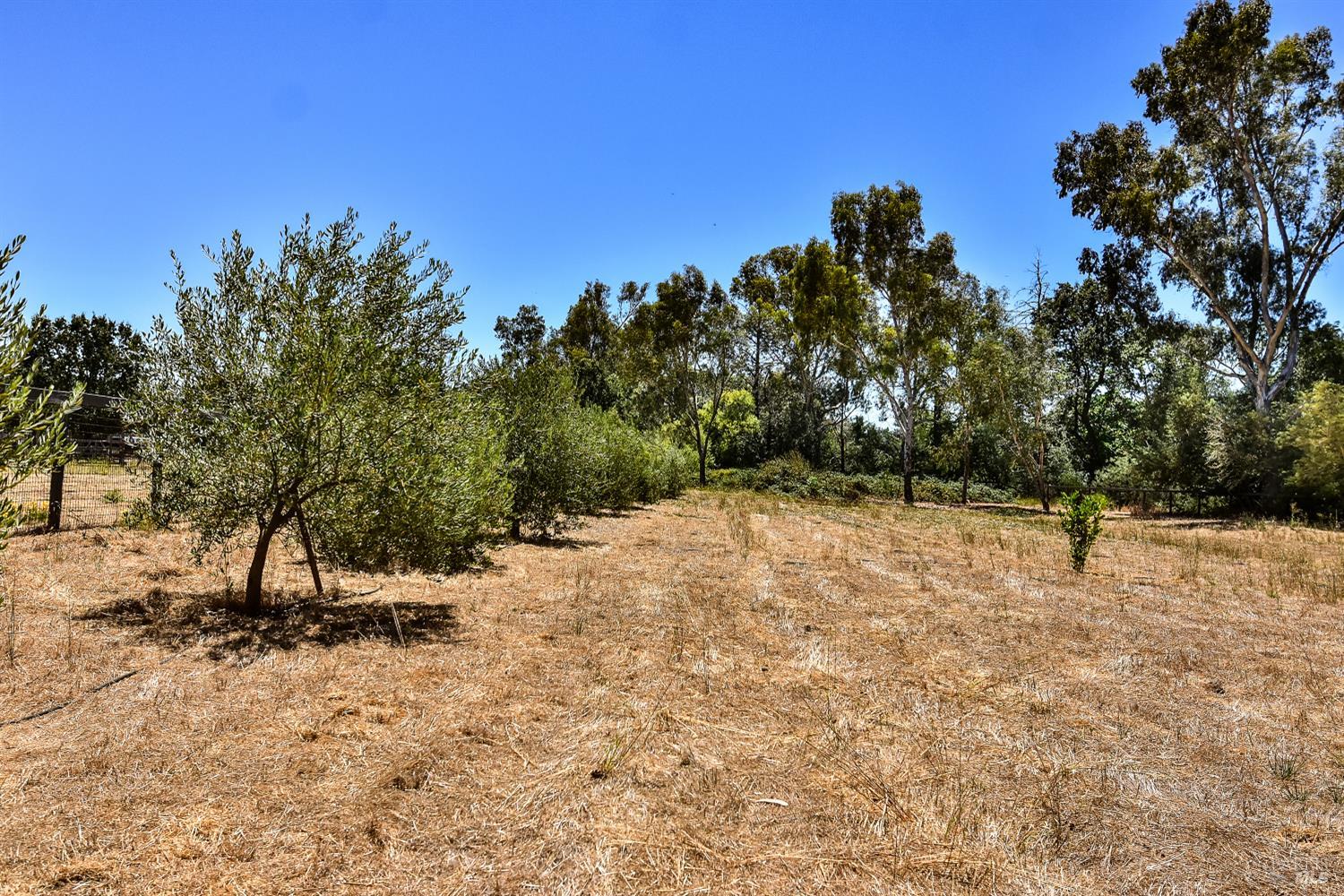 273 Napa Road Sonoma CA 95476