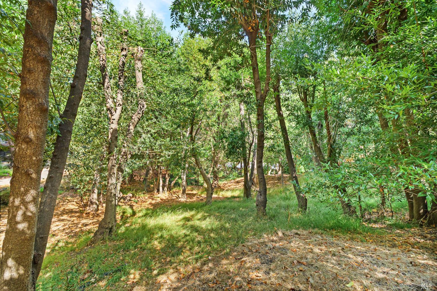 140 Francis Avenue Fairfax CA 94930