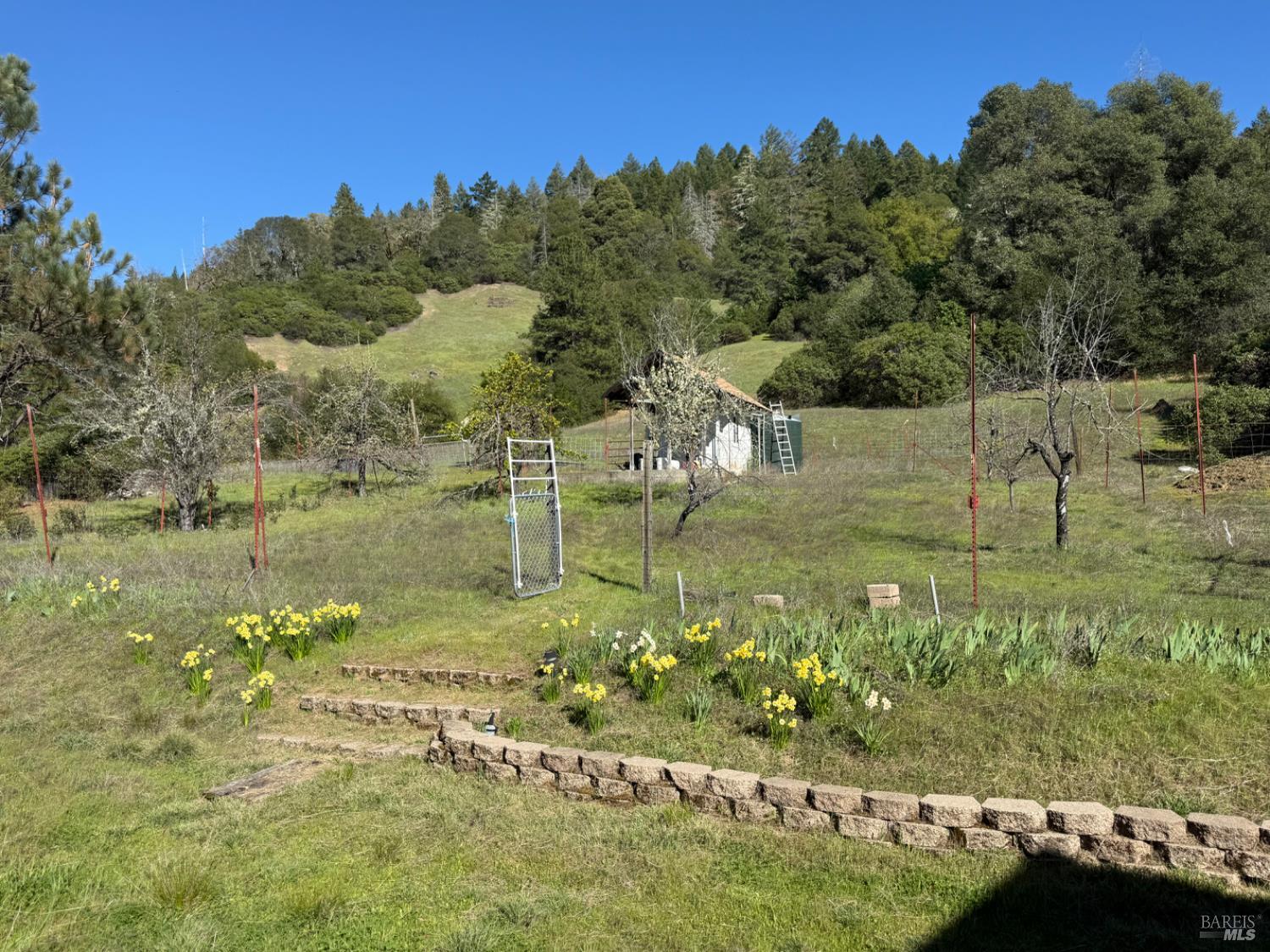 46960 Fox Rock Road Laytonville CA 95454