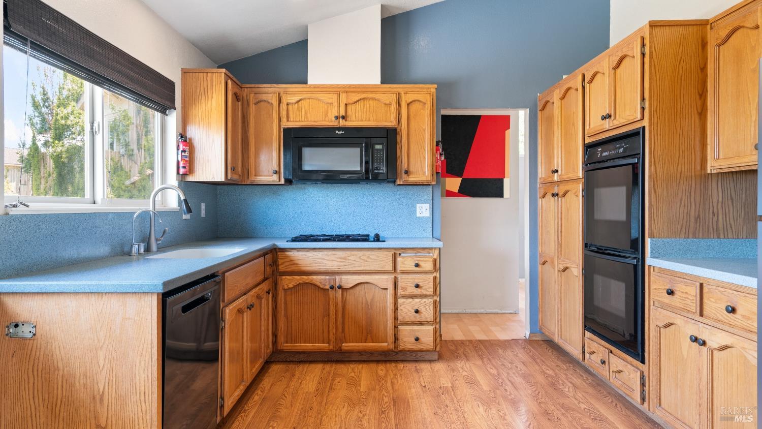 1639 Flanigan Way Petaluma CA 94954