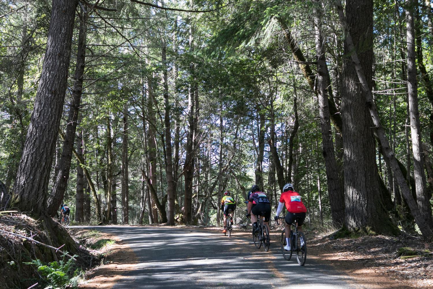 5765 Cazadero Highway Cazadero CA 95421