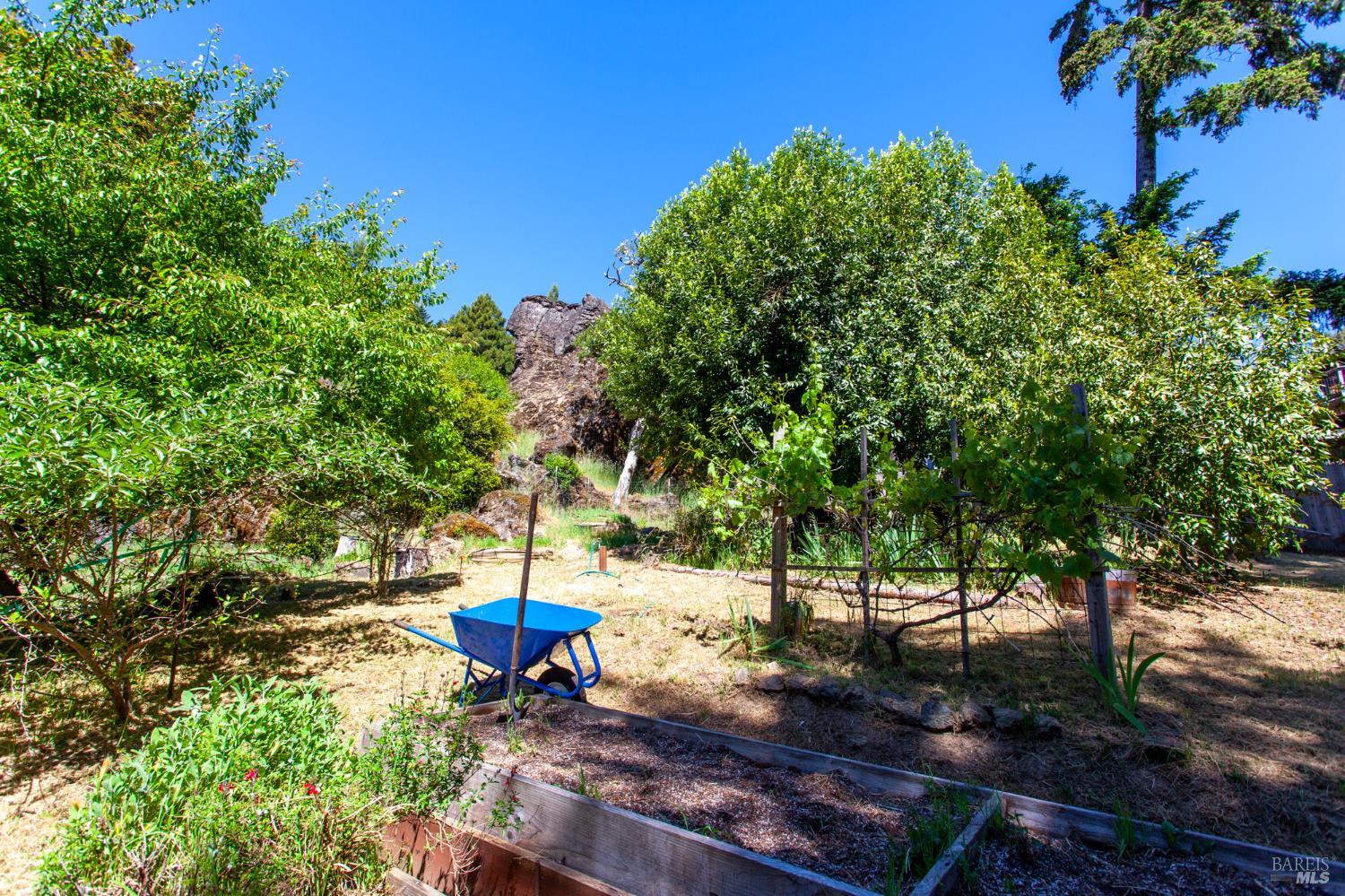 26961 Poppy Drive Willits CA 95490