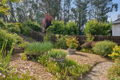 8927 Clothier Lane Cotati CA 94931