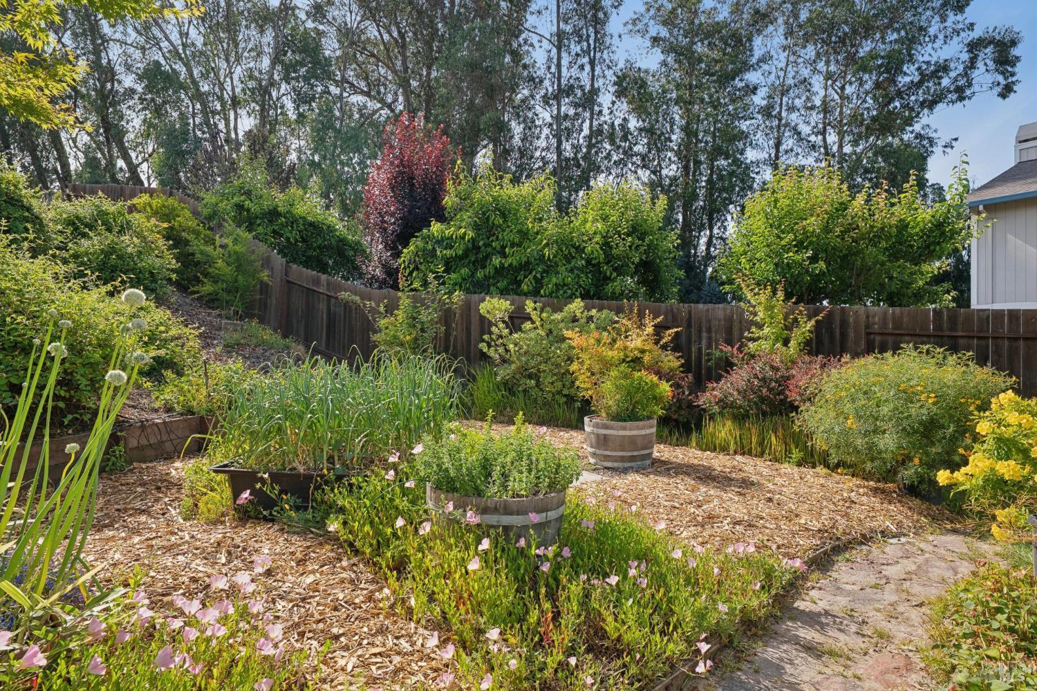 8927 Clothier Lane Cotati CA 94931