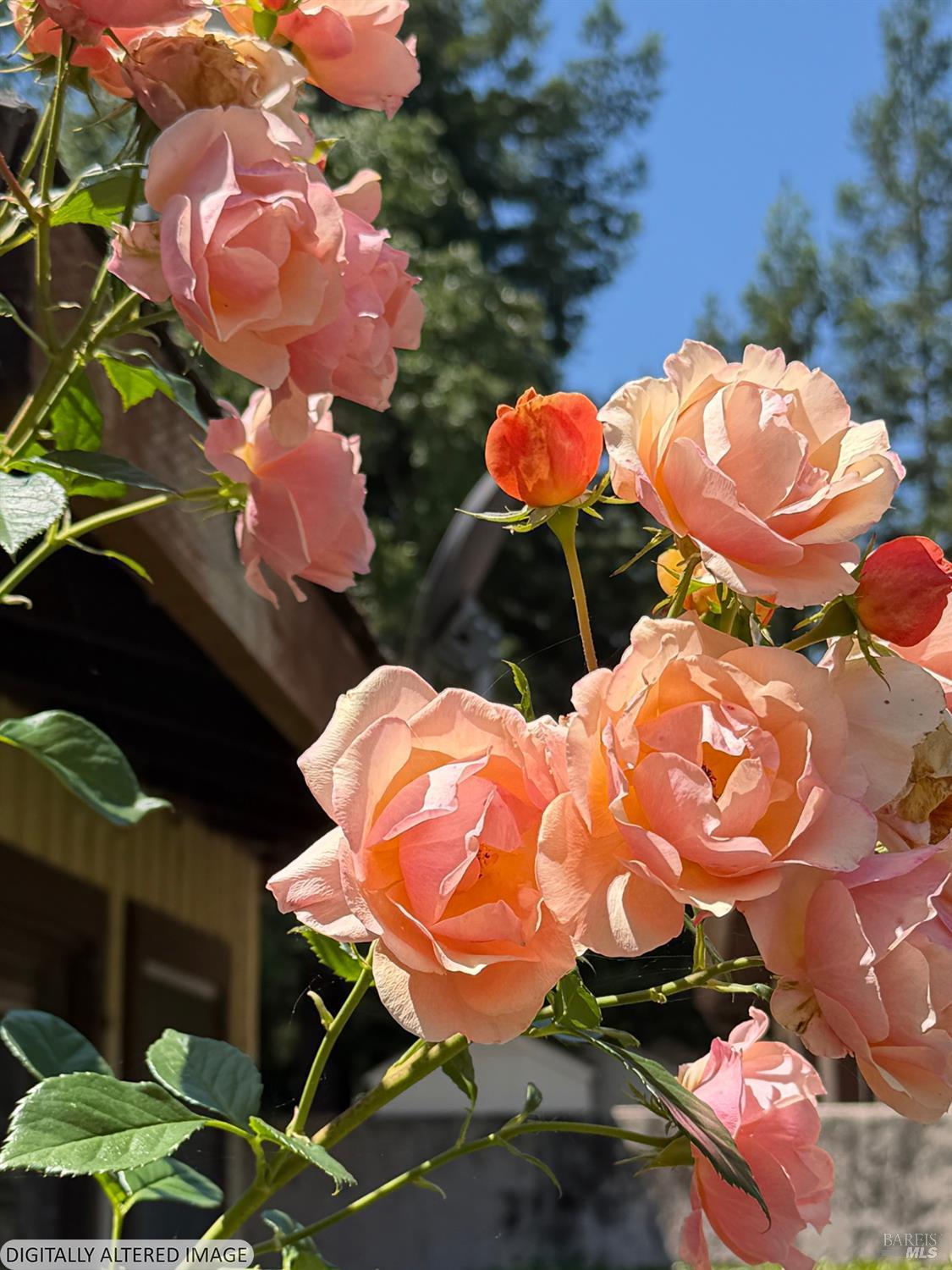 1927 Marsh Road Santa Rosa CA 95403