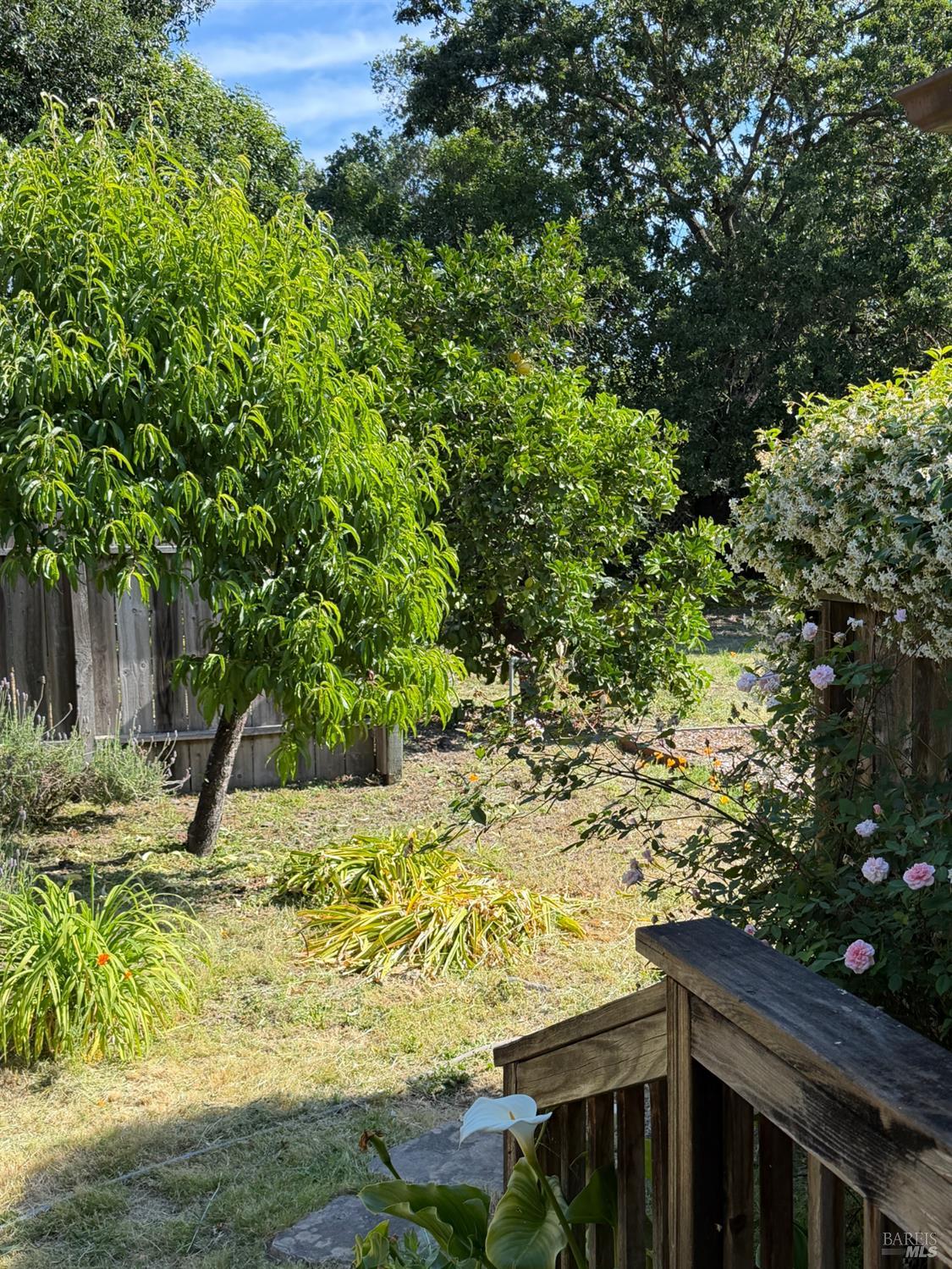1927 Marsh Road Santa Rosa CA 95403