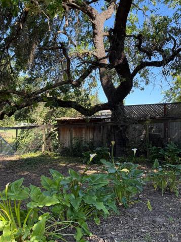 1927 Marsh Road Santa Rosa CA 95403