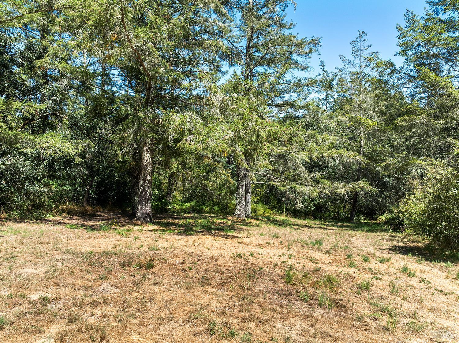 920 Wagnon Road Sebastopol CA 95472