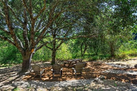 920 Wagnon Road Sebastopol CA 95472