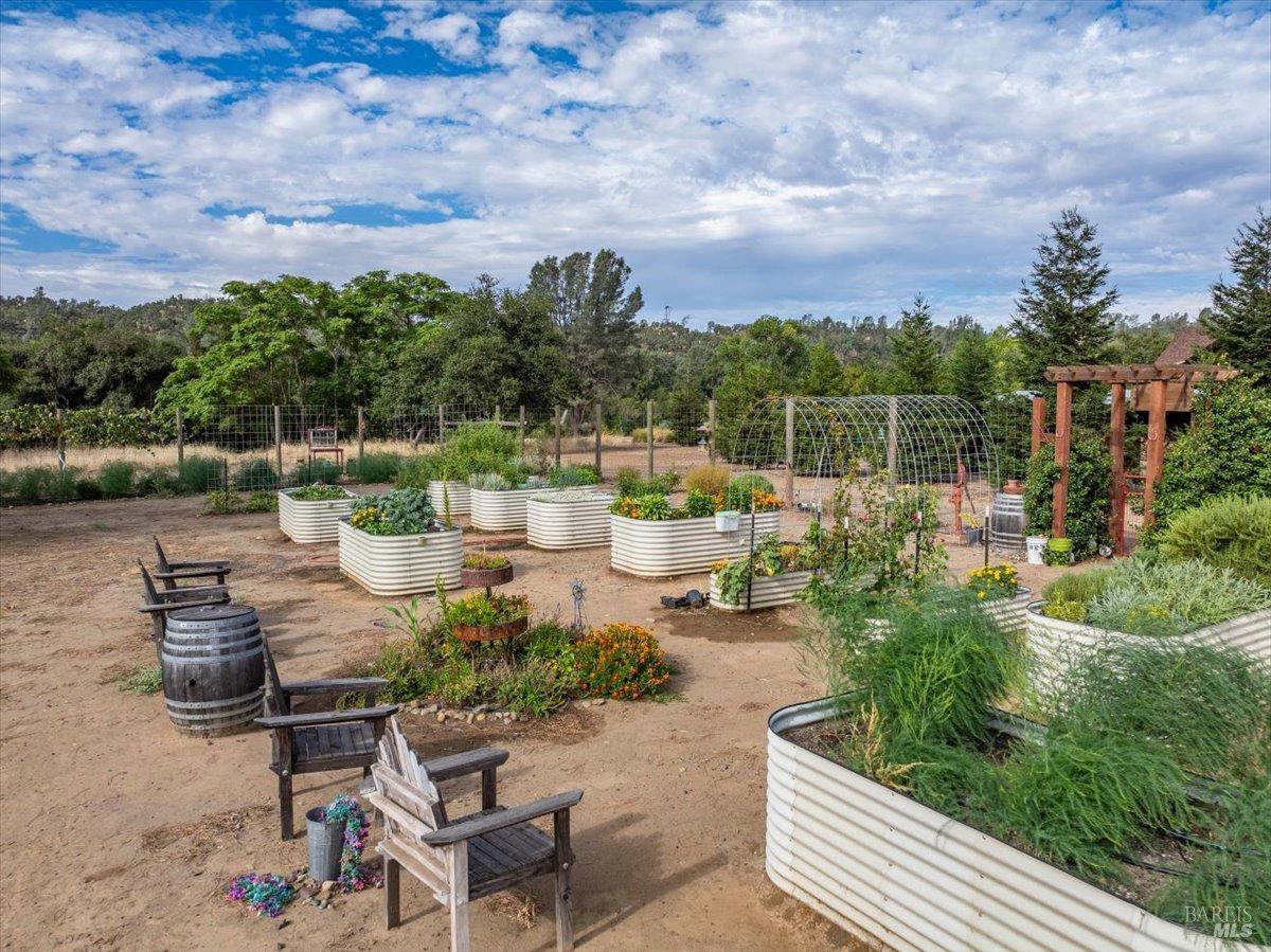 Red Bluff CA 96080