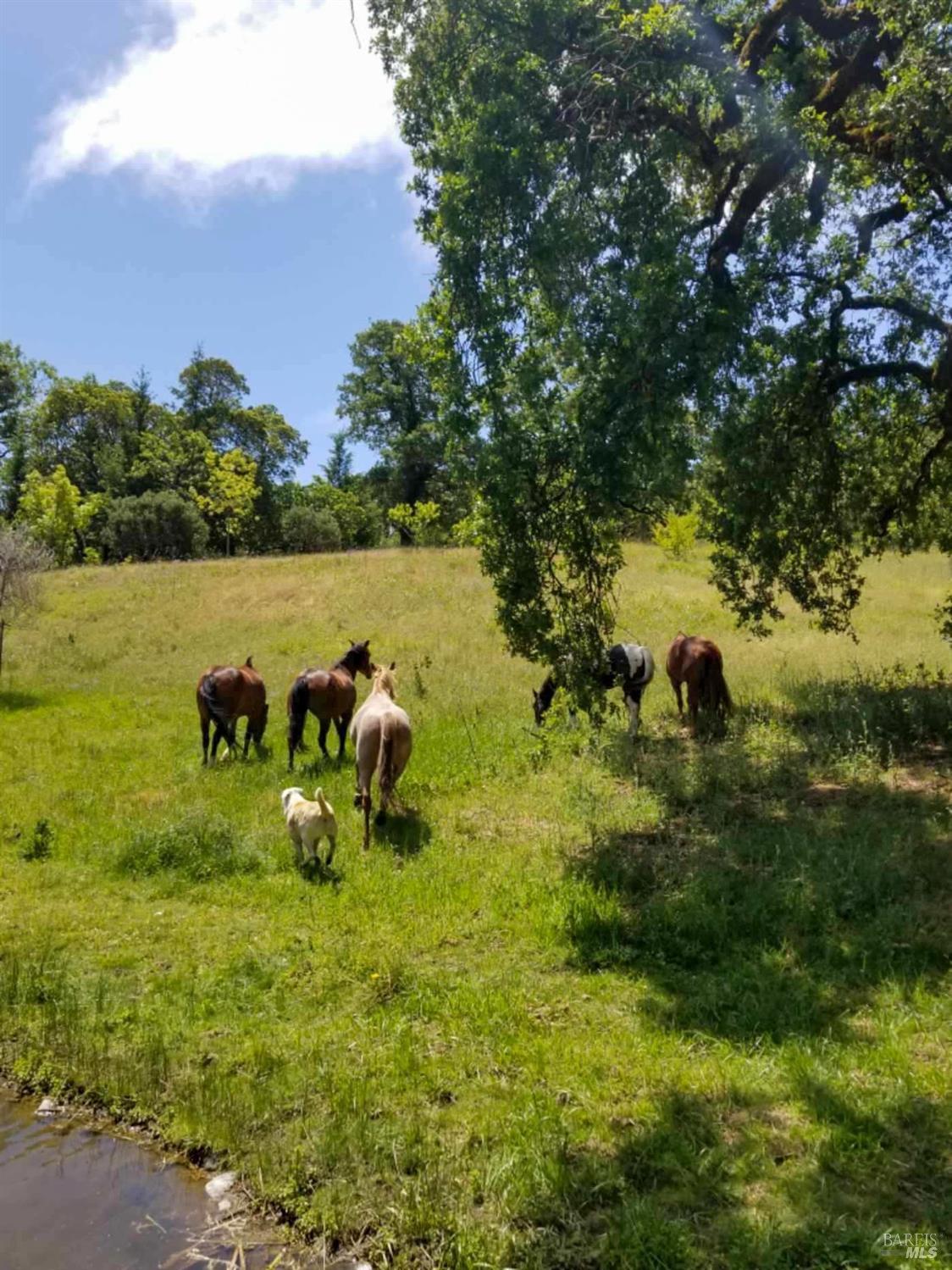 5510-5500 Parducci Road Ukiah CA 95482