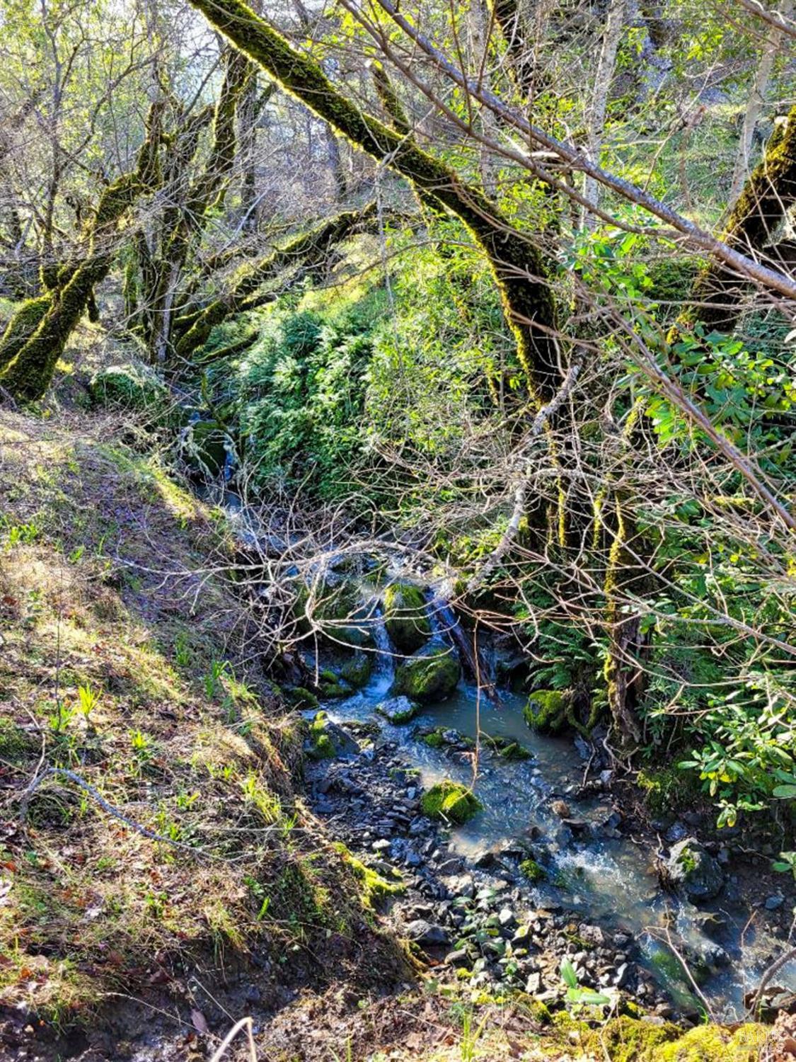 5510-5500 Parducci Road Ukiah CA 95482