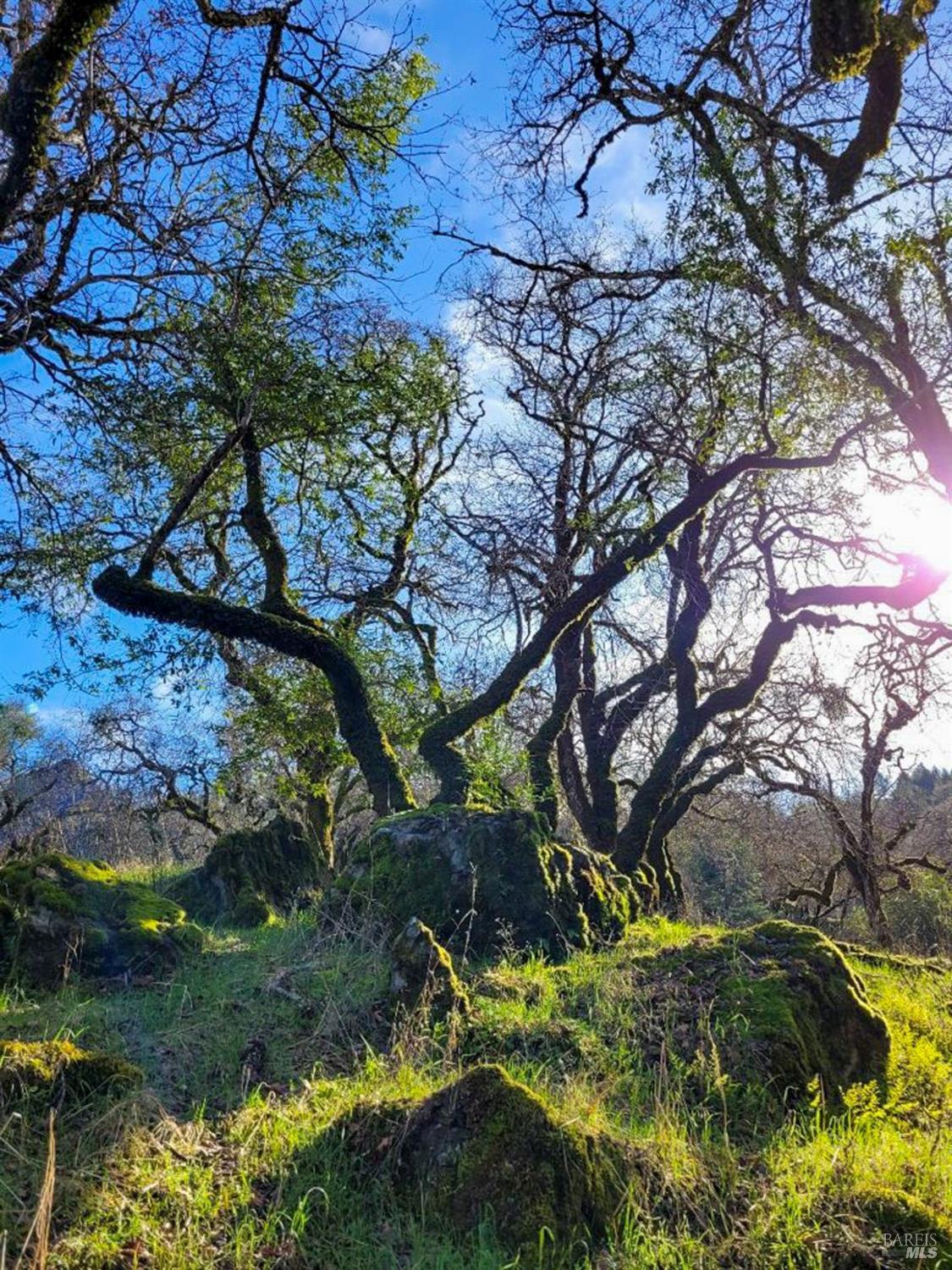 5510-5500 Parducci Road Ukiah CA 95482