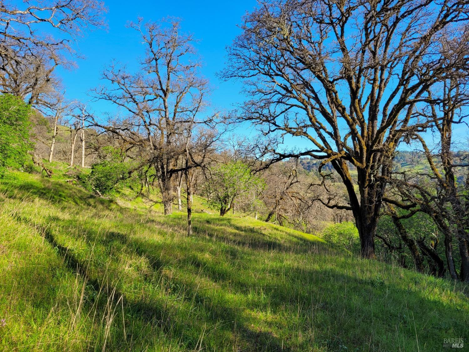 5510-5500 Parducci Road Ukiah CA 95482