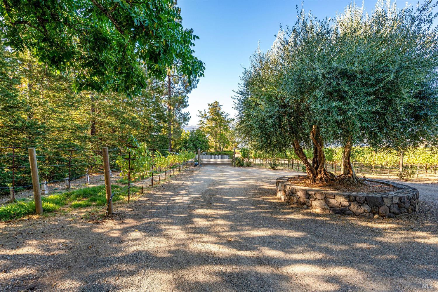 20 Rosedale Road Calistoga CA 94515