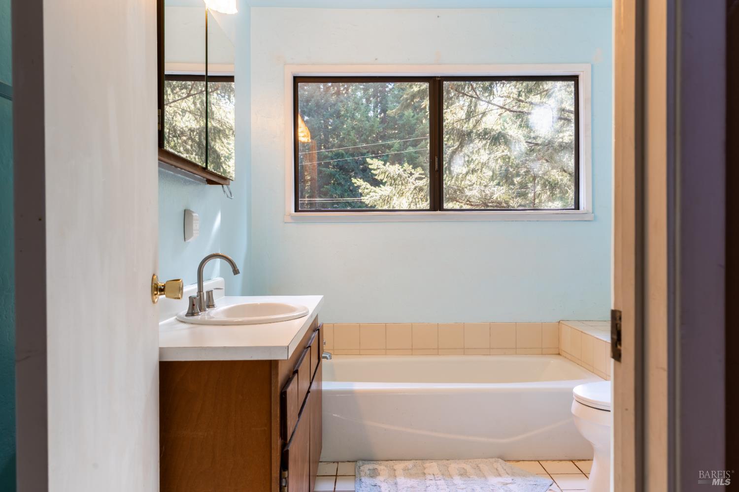 24009 Primrose Court Willits CA 95490