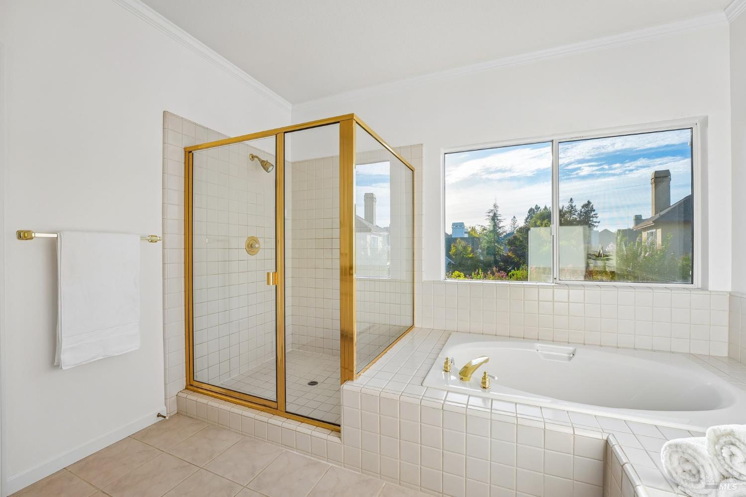 1006 Elsbree Lane Windsor CA 95492