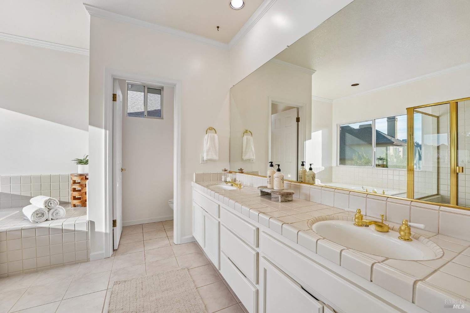 1006 Elsbree Lane Windsor CA 95492