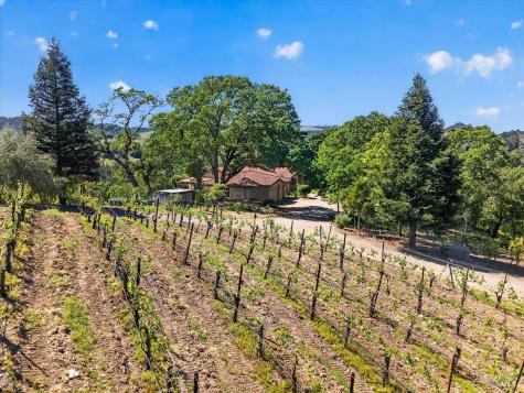 13404 Flora Ranch Road Healdsburg CA 95448