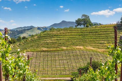 13404 Flora Ranch Road Healdsburg CA 95448