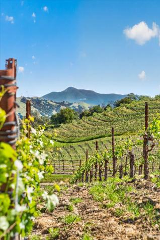 13404 Flora Ranch Road Healdsburg CA 95448