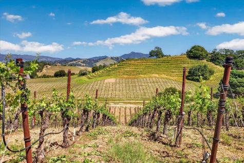 13404 Flora Ranch Road Healdsburg CA 95448