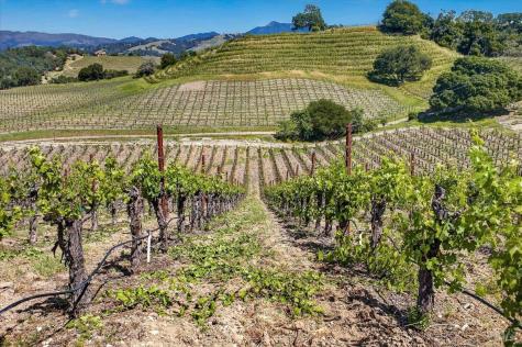 13404 Flora Ranch Road Healdsburg CA 95448