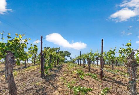 13404 Flora Ranch Road Healdsburg CA 95448
