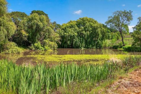 13404 Flora Ranch Road Healdsburg CA 95448
