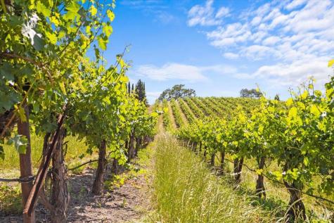 13404 Flora Ranch Road Healdsburg CA 95448