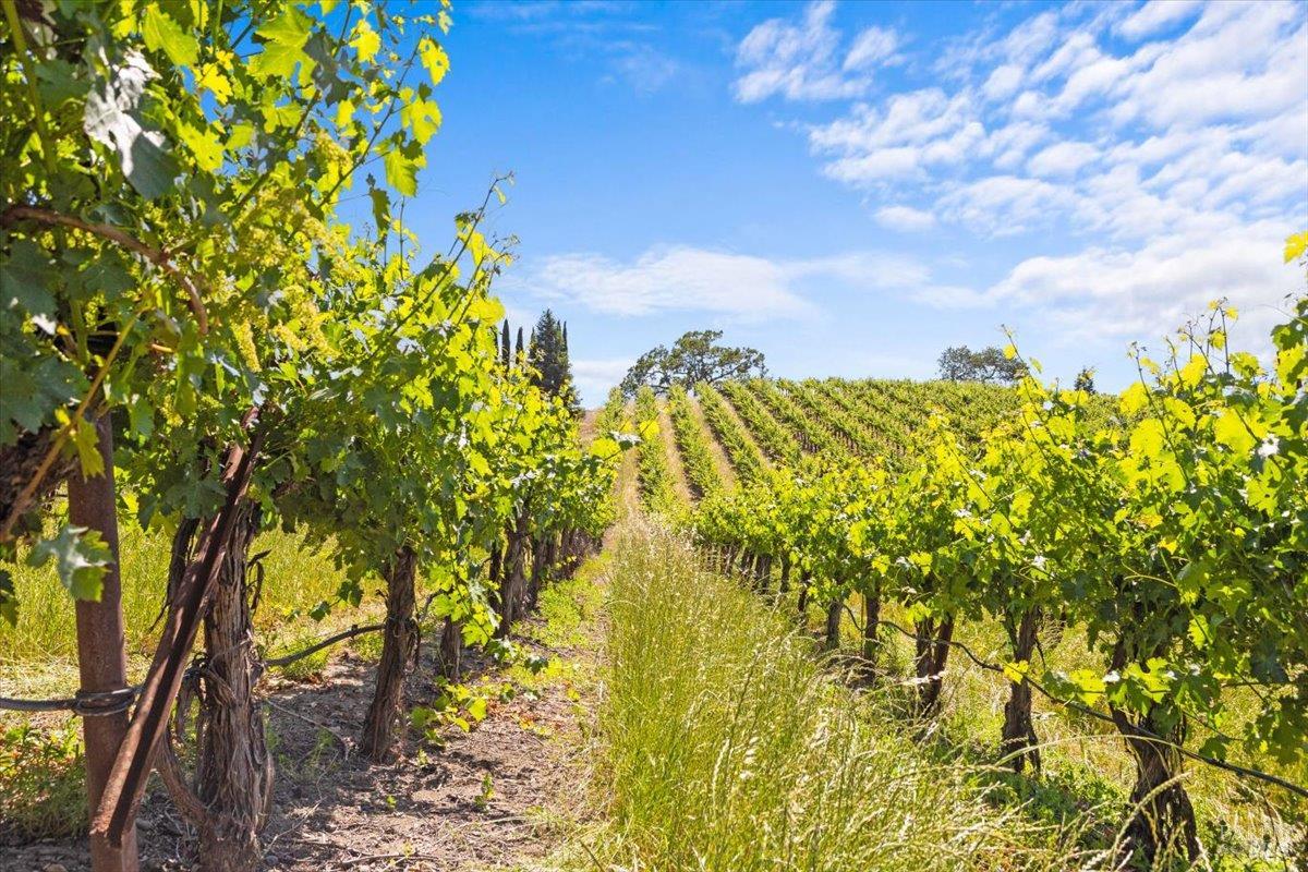 13404 Flora Ranch Road Healdsburg CA 95448