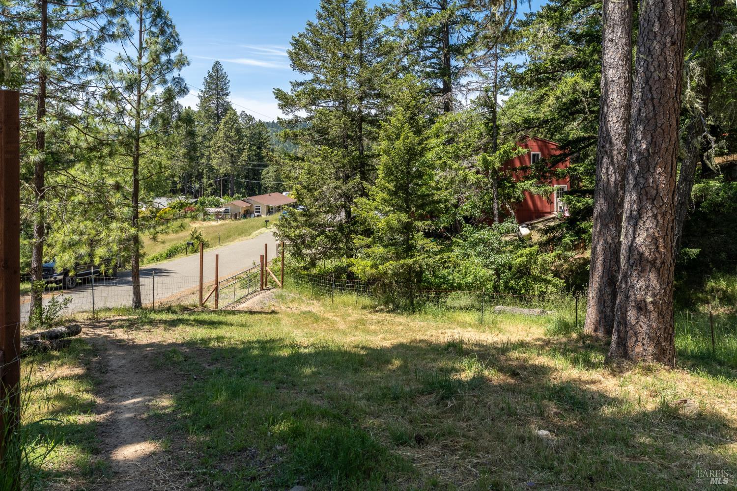 1618 Daphne Drive Willits CA 95490