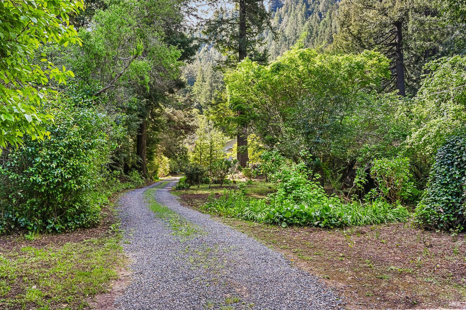 1365 Austin Creek Road Cazadero CA 95421