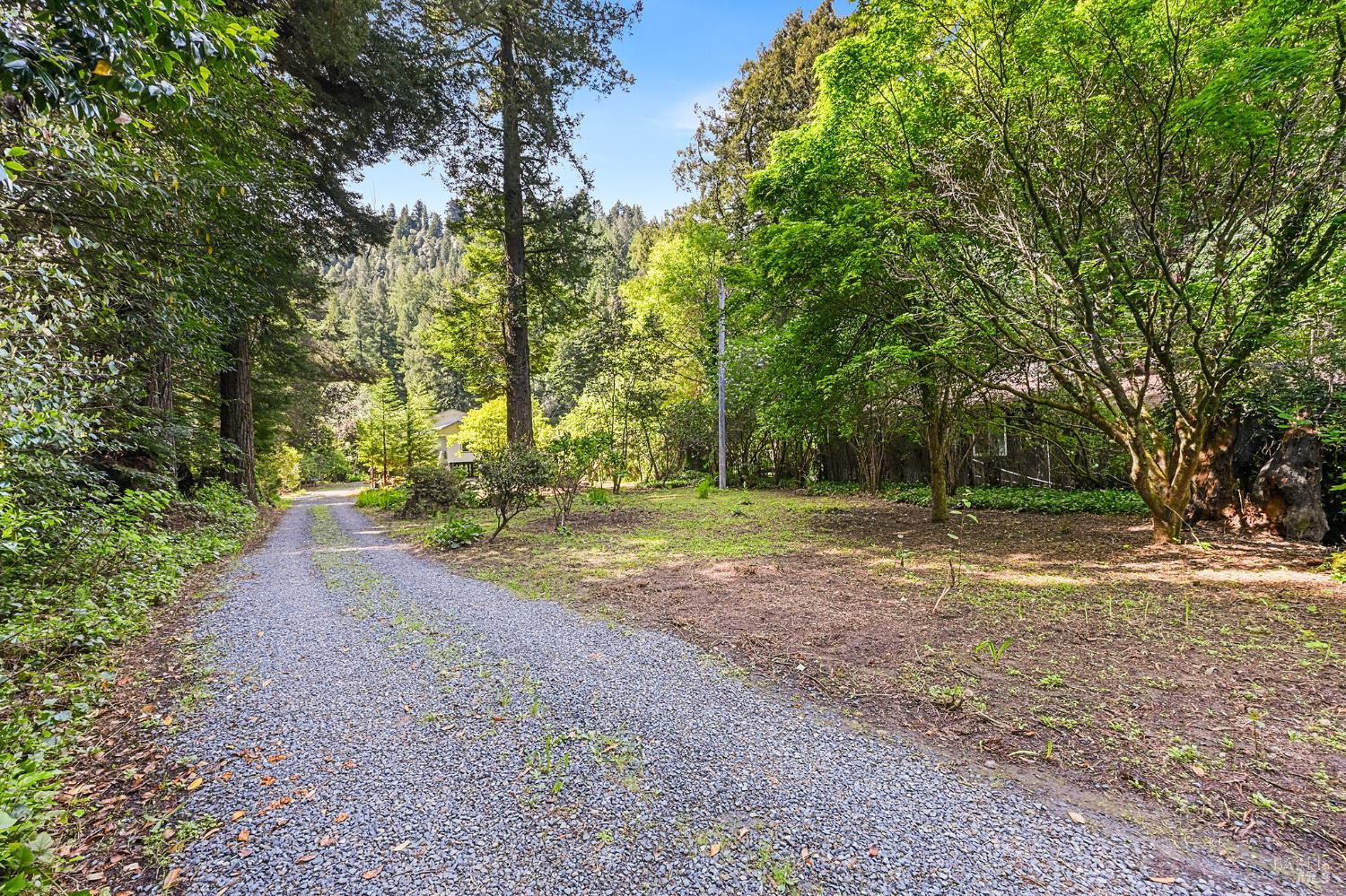 1365 Austin Creek Road Cazadero CA 95421