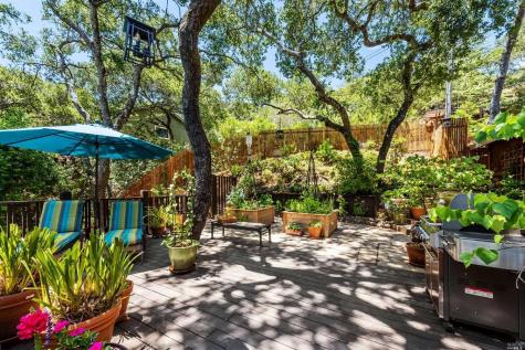 139 Wild Horse Valley Drive Novato CA 94947