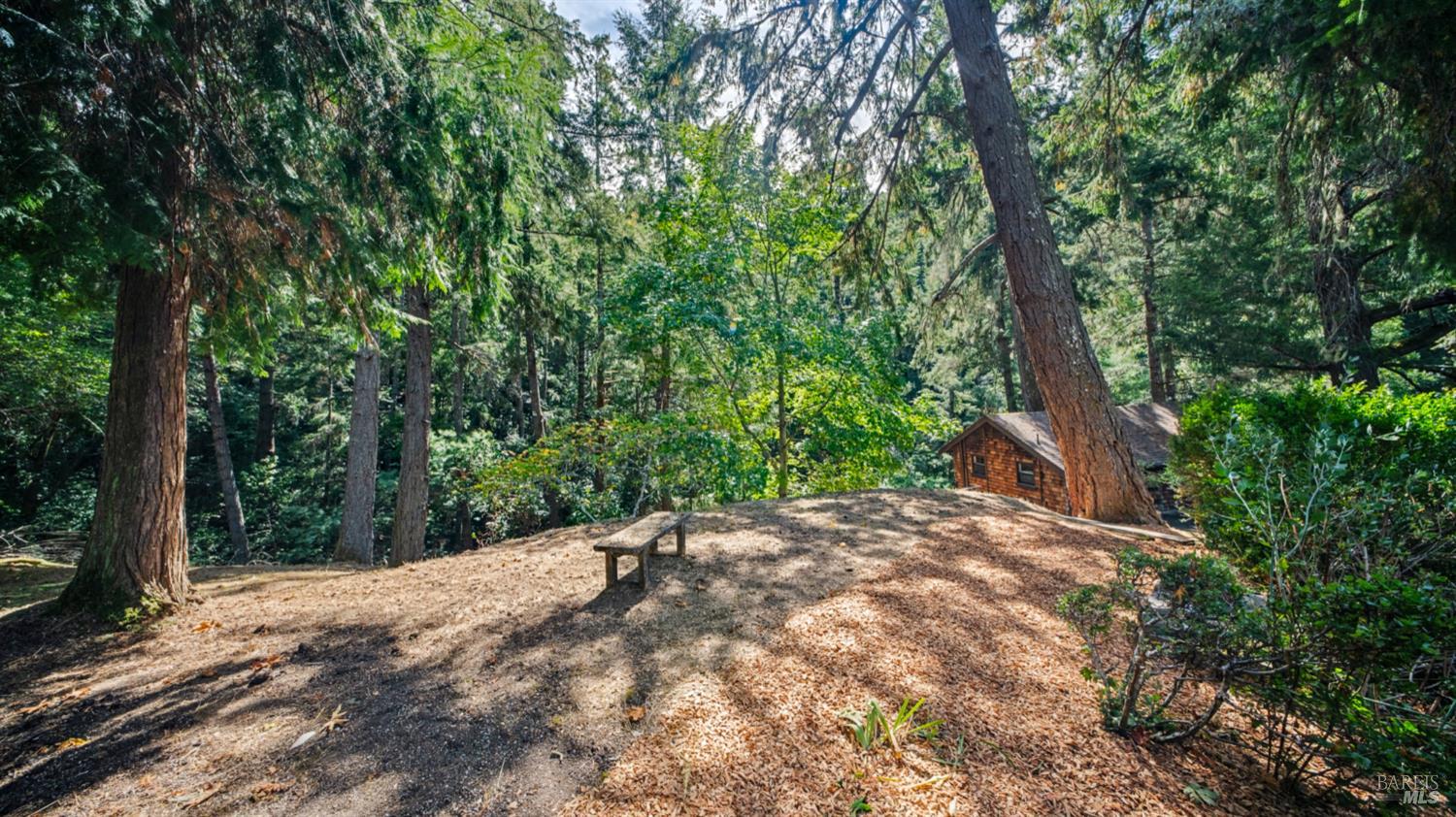 469 Corona Avenue Lagunitas CA 94938