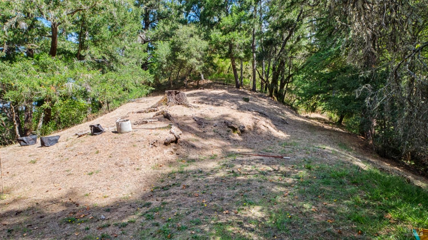 469 Corona Avenue Lagunitas CA 94938