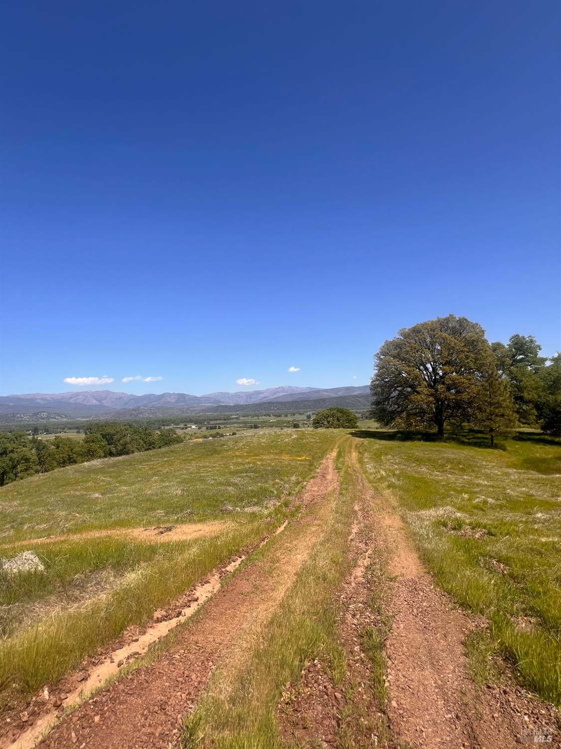 23040 Poonkinney Road Covelo CA 95428