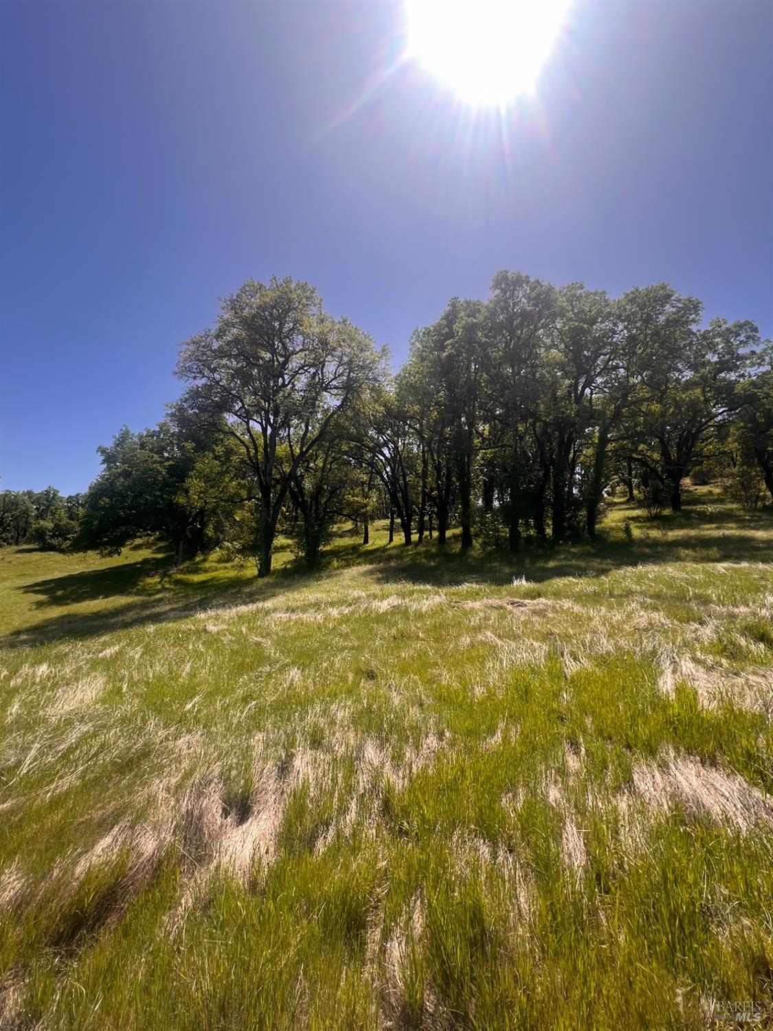 23040 Poonkinney Road Covelo CA 95428