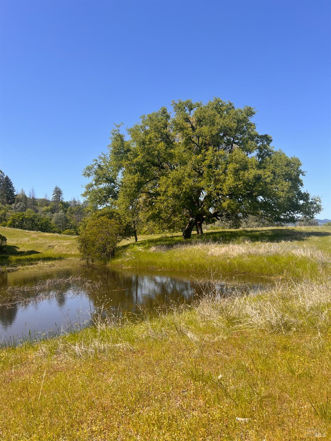 23040 Poonkinney Road Covelo CA 95428