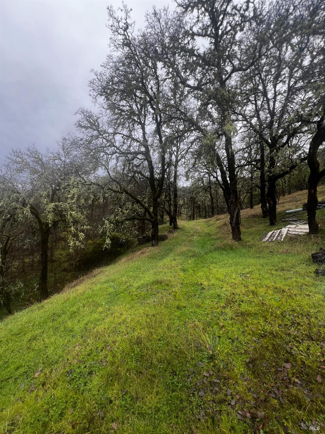 23040 Poonkinney Road Covelo CA 95428